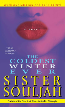 Book cover of The Coldest Winter Ever