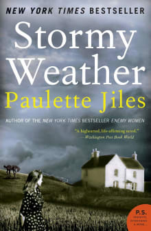 Book cover of Stormy Weather