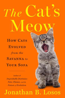 Book cover of The Cat's Meow: How Cats Evolved from the Savanna to Your Sofa