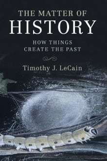 Book cover of The Matter of History