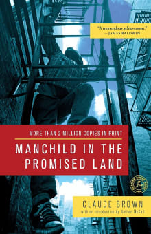 Book cover of Manchild in the Promised Land