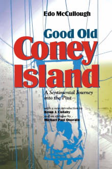 Book cover of Good Old Coney Island: A Sentimental Journey Into the Past