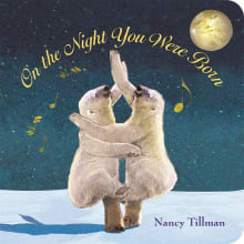 Book cover of On the Night You Were Born