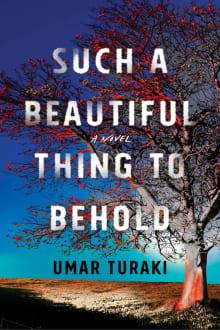 Book cover of Such a Beautiful Thing to Behold