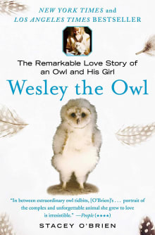 Book cover of Wesley the Owl: The Remarkable Love Story of an Owl and His Girl