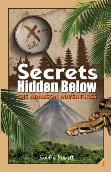 Book cover of Secrets Hidden Below