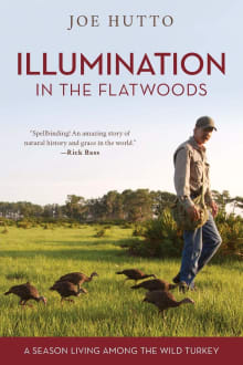 Book cover of Illumination in the Flatwoods: A Season Living Among the Wild Turkey