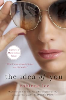 Book cover of The Idea of You