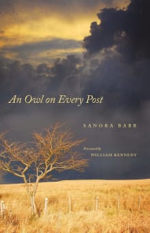 Book cover of An Owl on Every Post