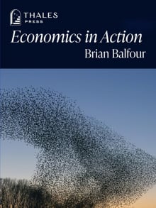 Book cover of Economics in Action