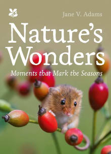 Book cover of Nature's Wonders: Moments That Mark the Seasons