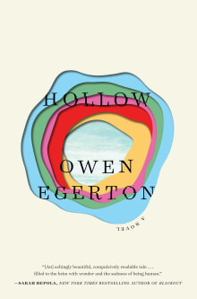 Book cover of Hollow