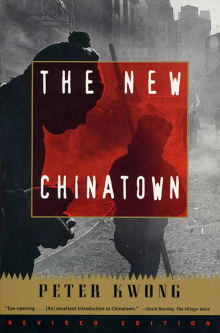 Book cover of The New Chinatown