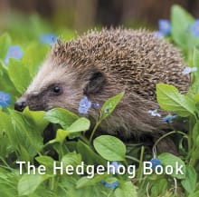Book cover of The Hedgehog Book