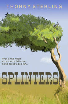 Book cover of Splinters