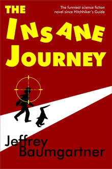 Book cover of The Insane Journey