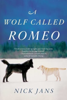 Book cover of A Wolf Called Romeo