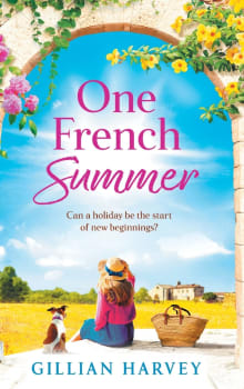 Book cover of One French Summer