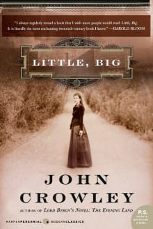 Book cover of Little, Big