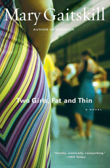 Book cover of Two Girls Fat and Thin