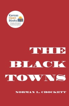 Book cover of The Black Towns