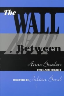 Book cover of The Wall Between