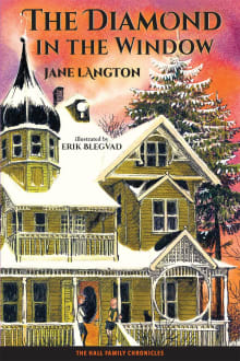 Book cover of The Diamond in the Window