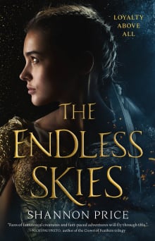 Book cover of The Endless Skies