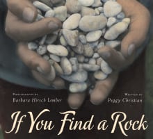 Book cover of If You Find a Rock