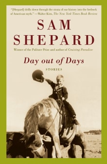 Book cover of Day Out of Days
