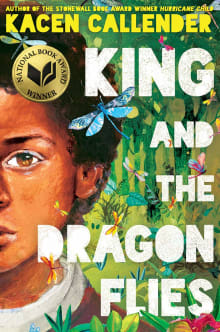 Book cover of King and the Dragonflies