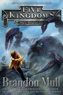 Book cover of Sky Raiders