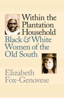 Book cover of Within the Plantation Household: Black and White Women of the Old South