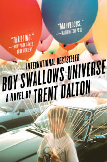 Book cover of Boy Swallows Universe