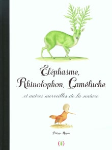 Book cover of Éléphasme, Rhinolophon, Caméluche et autres merveilles de la nature