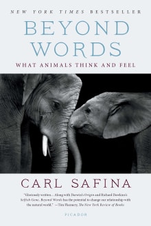 Book cover of Beyond Words: What Animals Think and Feel