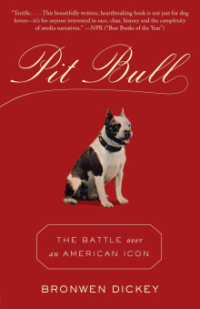 Book cover of Pit Bull: The Battle Over an American Icon