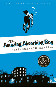 Book cover of The Amazing Absorbing Boy