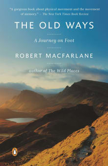 Book cover of The Old Ways: A Journey on Foot