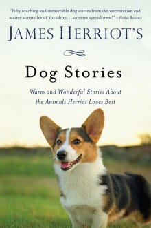 Book cover of James Herriot's Dog Stories: Warm and Wonderful Stories about the Animals Herriot Loves Best