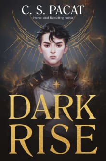 Book cover of Dark Rise