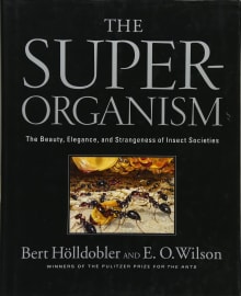 Book cover of The Superorganism: The Beauty, Elegance, and Strangeness of Insect Societies