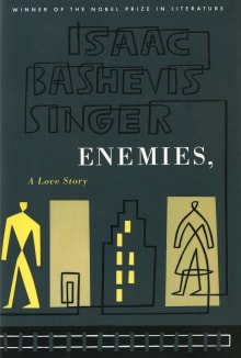 Book cover of Enemies: A Love Story