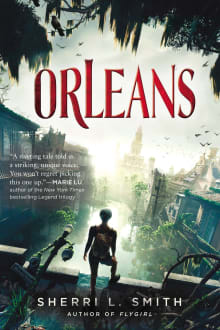 Book cover of Orleans