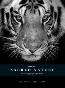 Book cover of Sacred Nature 2: Reconnecting People to Our Planet