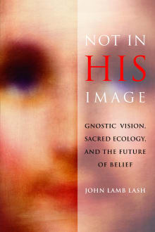 Book cover of Not in His Image: Gnostic Vision, Sacred Ecology, and the Future of Belief