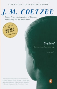 Book cover of Boyhood