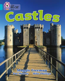 Book cover of Castles