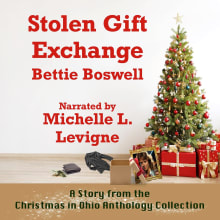 Book cover of Stolen Gift Exchange: A Christmas in Ohio Anthology Collection Story