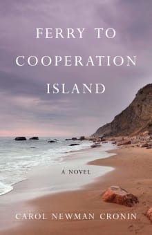 Book cover of Ferry to Cooperation Island